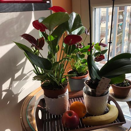 Attico Chez Renee Aosta Apartment ภายนอก รูปภาพ